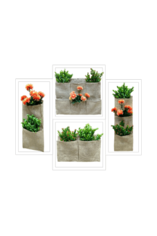 Home Decors & Gardening