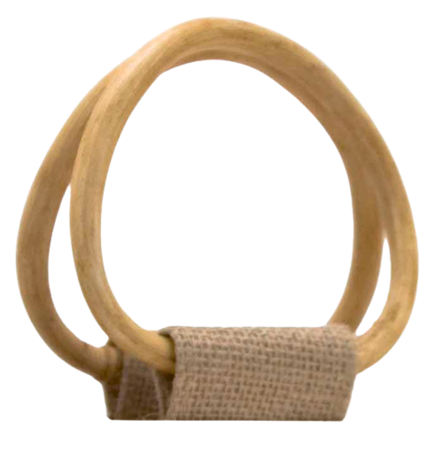 Apple Cane Handle